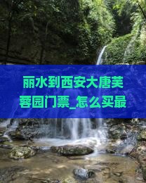 丽水到西安大唐芙蓉园门票