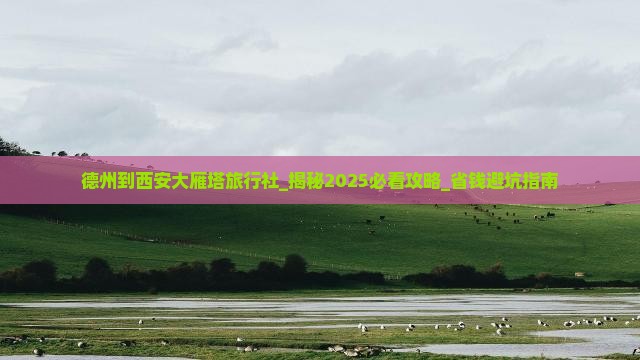 德州到西安大雁塔旅行社