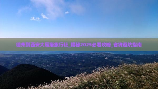 德州到西安大雁塔旅行社