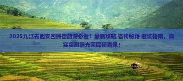 九江去西安回民街旅游