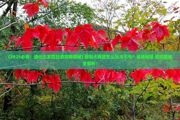 通化到西安大雁塔四日游