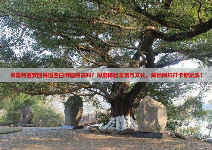 资阳到西安回民街四日游