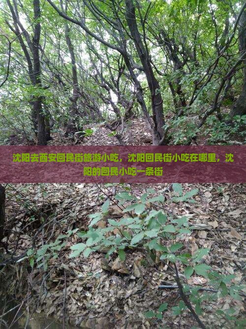 沈阳去西安回民街旅游小吃