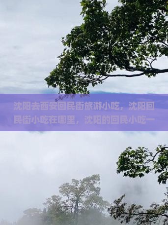 沈阳去西安回民街旅游小吃