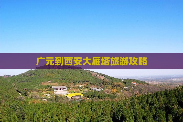 广元到西安大雁塔景点