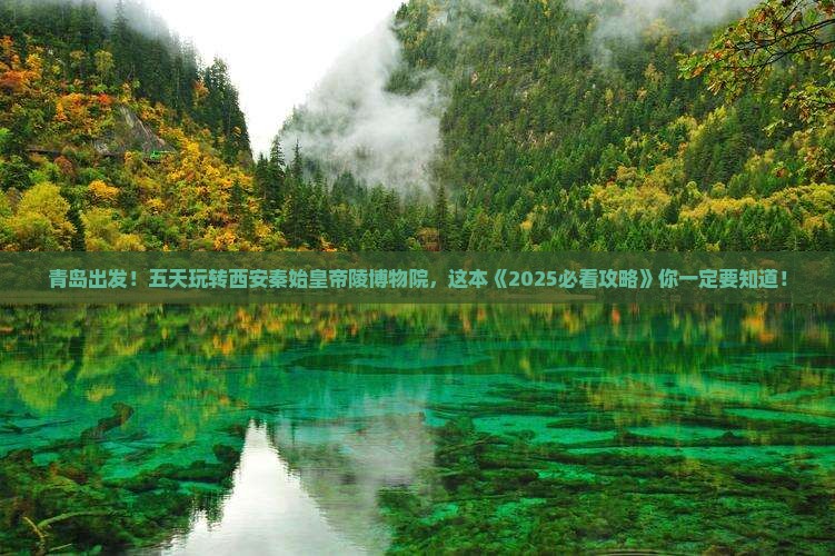 青岛到西安秦始皇帝陵博物院五日游