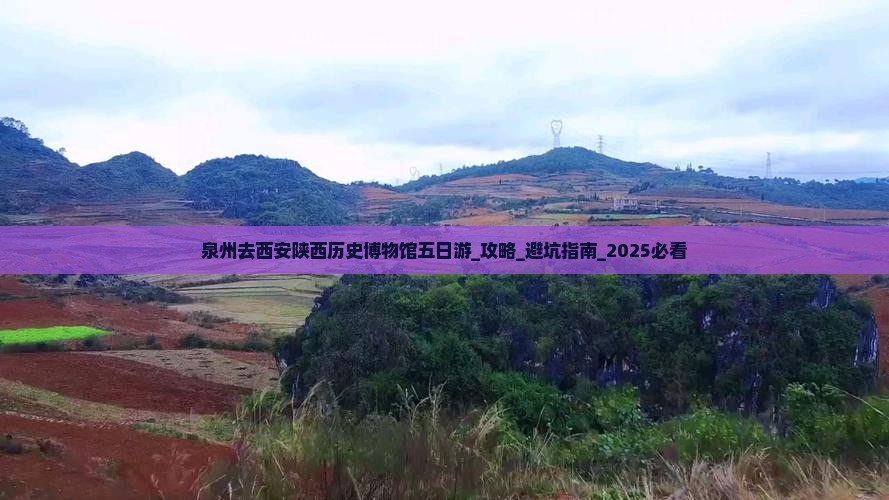 泉州去西安陕西历史博物馆五日游
