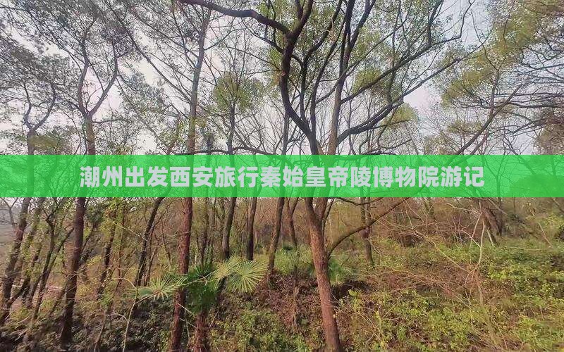 潮州去西安秦始皇帝陵博物院旅行社