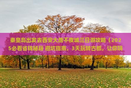 秦皇岛去西安大唐不夜城三日游