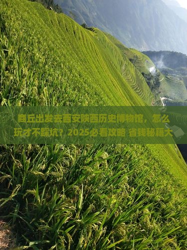 商丘去西安陕西历史博物馆一日游
