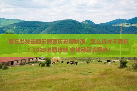 商丘去西安陕西历史博物馆一日游