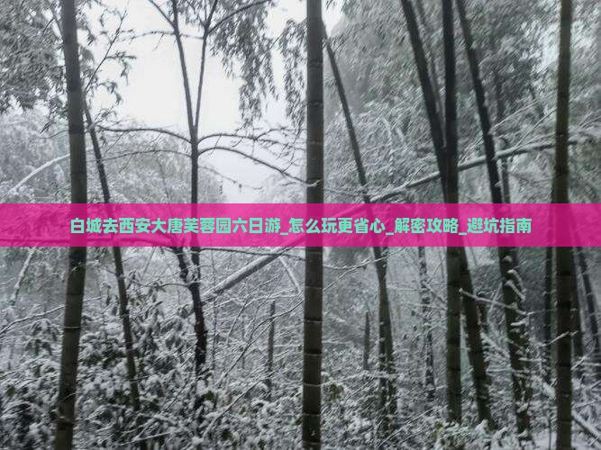 白城去西安大唐芙蓉园六日游