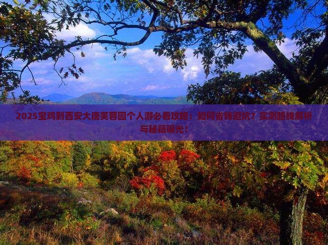 宝鸡到西安大唐芙蓉园个人游