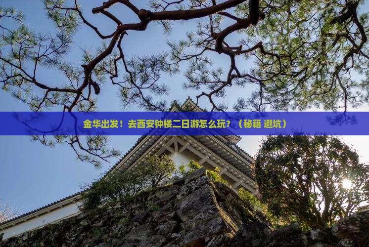 金华到西安钟楼二日游