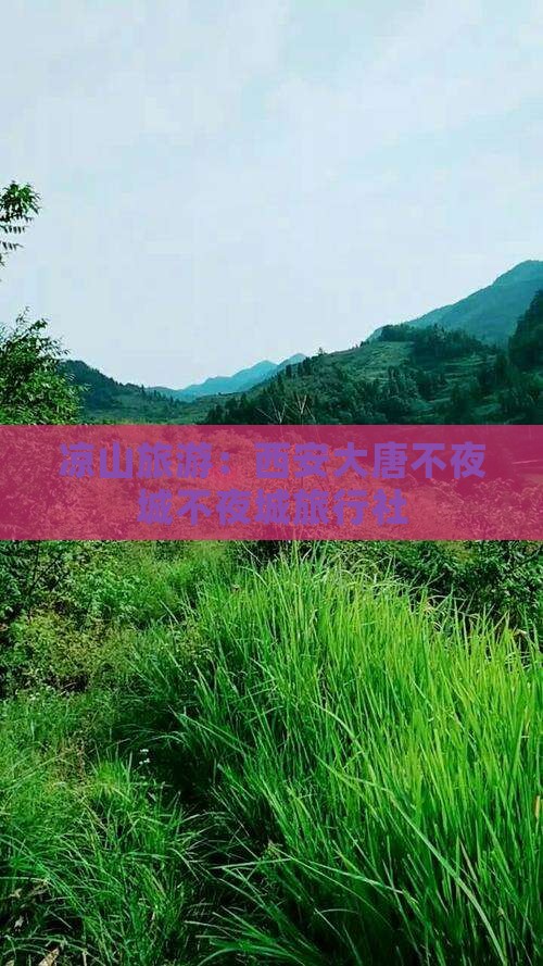 凉山到西安大唐不夜城旅行社