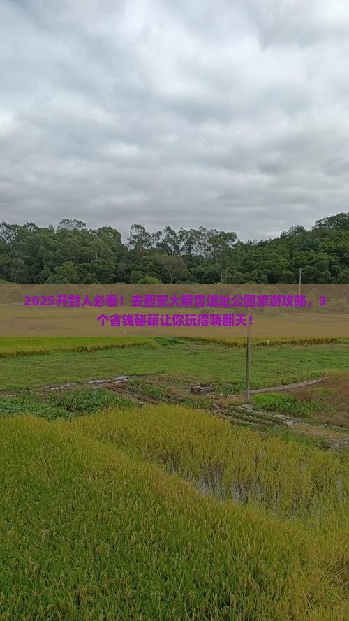 开封去西安大明宫国家遗址公园旅游
