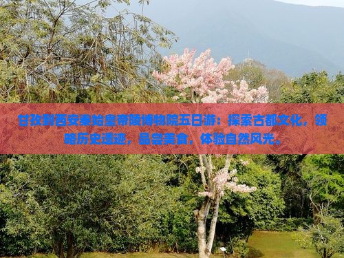 甘孜到西安秦始皇帝陵博物院五日游