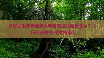深圳去西安大明宫国家遗址公园景点