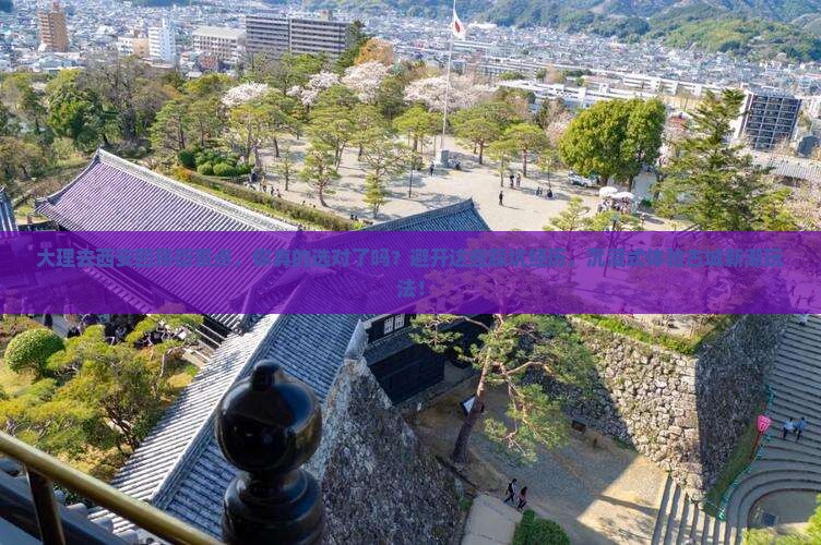 大理去西安回民街景点