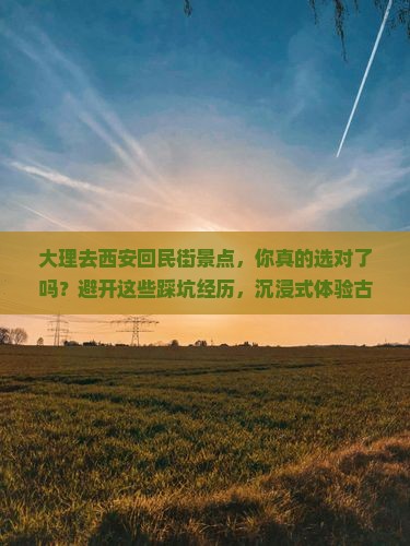 大理去西安回民街景点