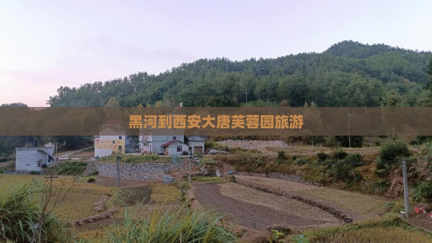 黑河到西安大唐芙蓉园旅游