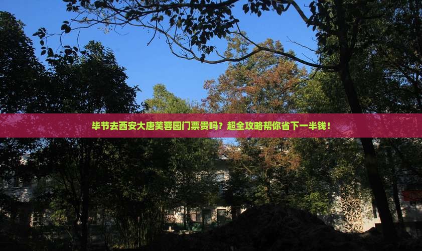 毕节去西安大唐芙蓉园门票