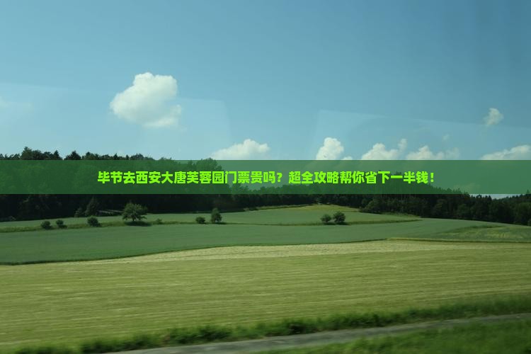 毕节去西安大唐芙蓉园门票