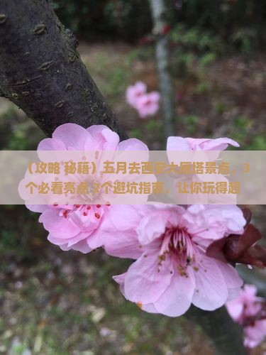 五月去西安大雁塔景点 五月去西安大雁塔景点