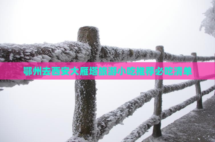 鄂州去西安大雁塔旅游小吃