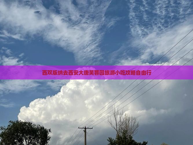 西双版纳去西安大唐芙蓉园旅游小吃