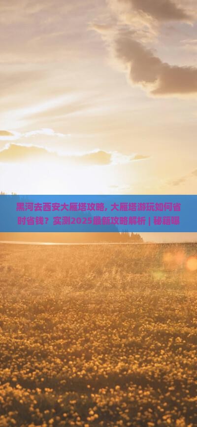 黑河去西安大雁塔攻略