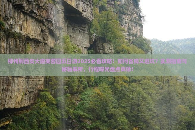 柳州到西安大唐芙蓉园五日游