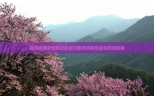 威海去西安回民街自由行