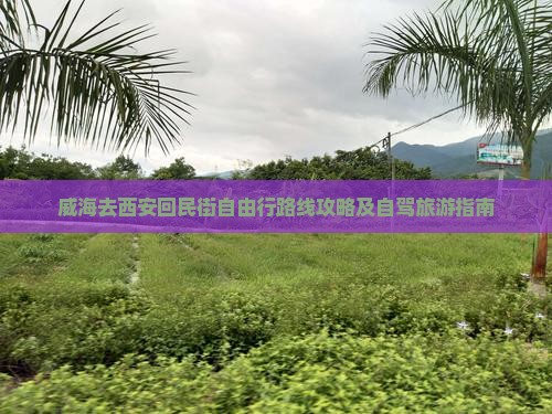 威海去西安回民街自由行