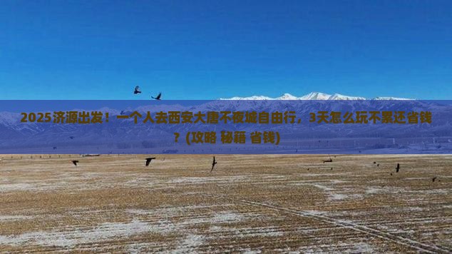 济源到西安大唐不夜城自由行
