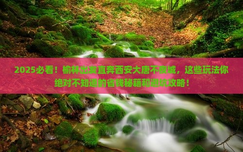 榆林到西安大唐不夜城哪里玩