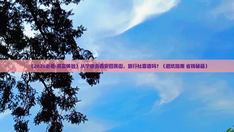 宁德去西安回民街旅行社