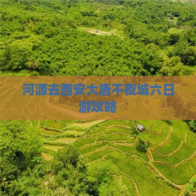 河源去西安大唐不夜城六日游