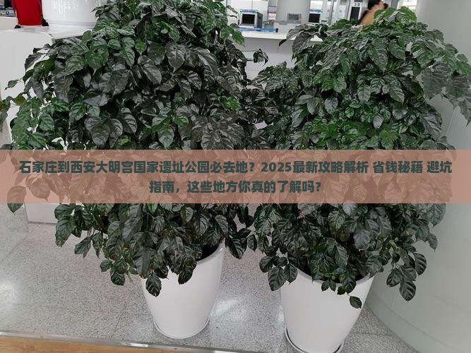 石家庄到西安大明宫国家遗址公园必去地
