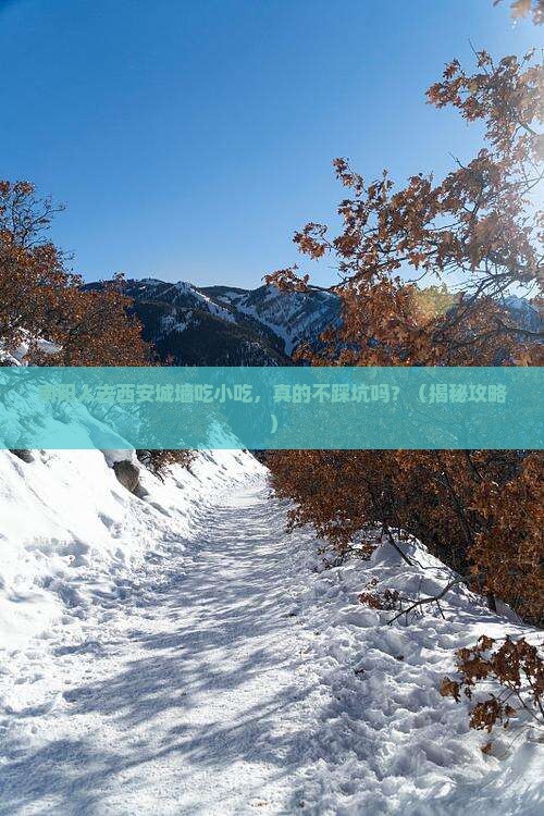 南阳去西安城墙旅游小吃