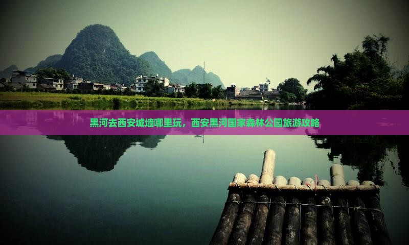 黑河去西安城墙哪里玩