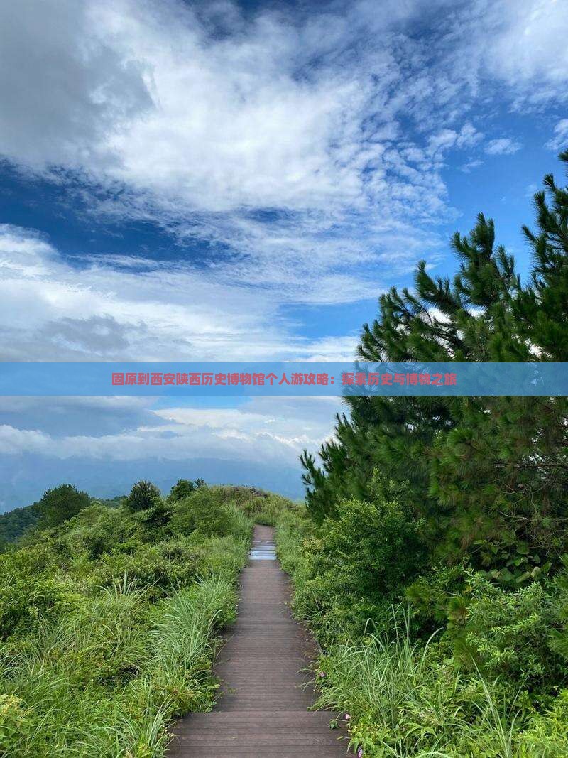 固原到西安陕西历史博物馆个人游