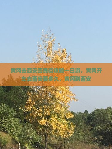 黄冈去西安回民街攻略