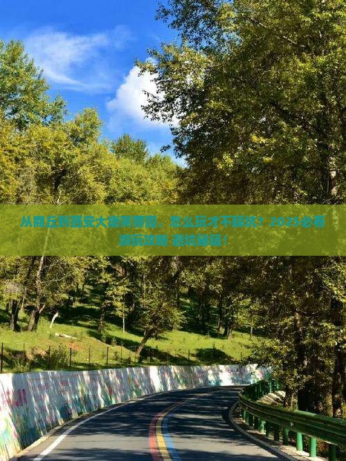 商丘到西安大唐芙蓉园哪里玩 商丘到西安大唐芙蓉园哪里玩