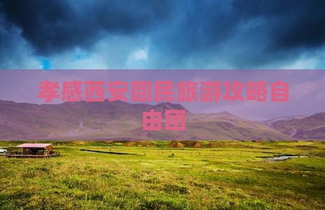 孝感去西安回民街自由团