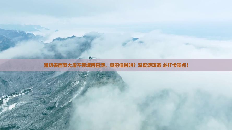 潍坊去西安大唐不夜城四日游