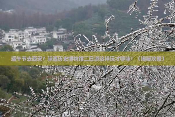 端午节到西安陕西历史博物馆二日游