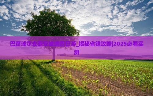 巴彦淖尔去西安城墙四日游