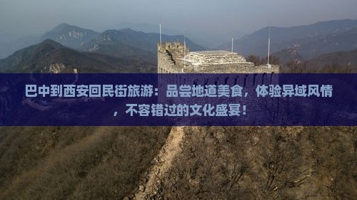 巴中到西安回民街旅游