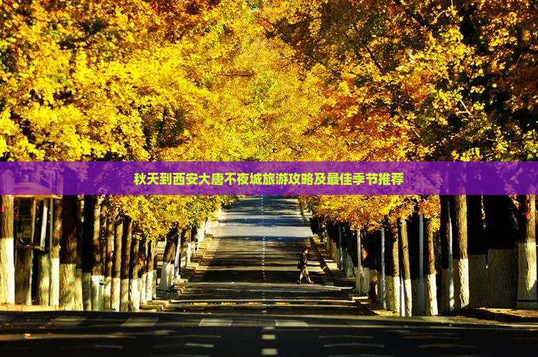 秋天到西安大唐不夜城旅游
